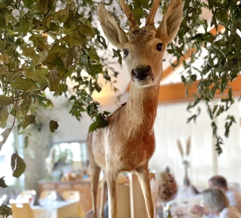 La salle de l'auberge décorée pour la saison de la chasse, avec un chevreuil naturalisé